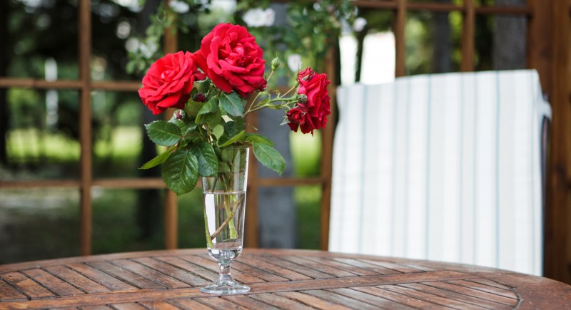 &nbsp;